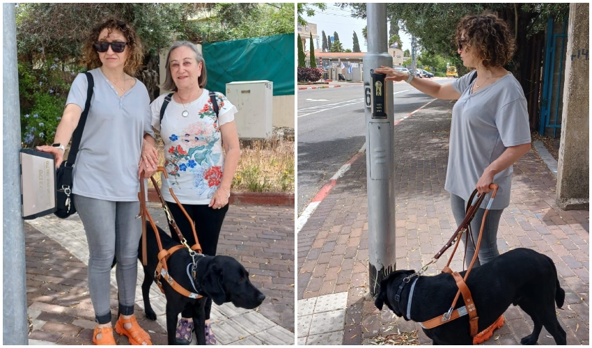 הרמזורים בנשר הונגשו ללקויי ראייה | צילום: דוברות העירייה